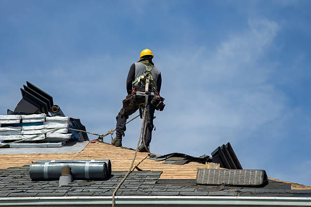 Professional Flat Roof Repair technician working in Petersburg, IL